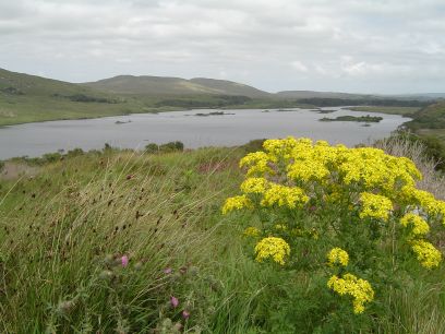 donegal_8