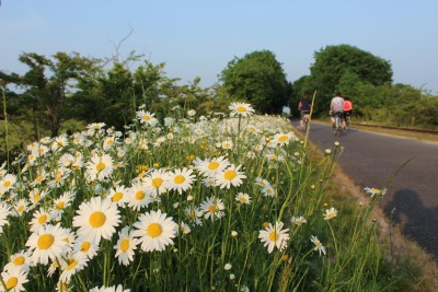 moate_greenway