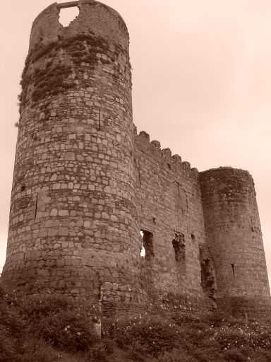 Carlow Castle.