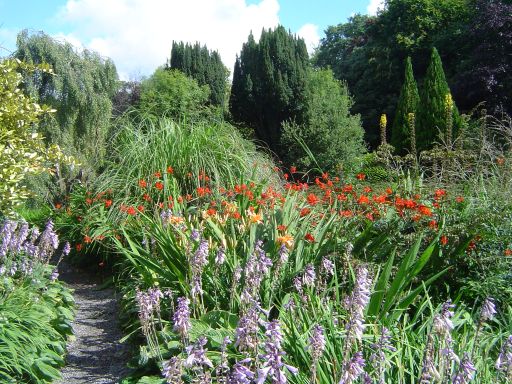 Carlow - Flowers and trees inside the Altamont Gardens.