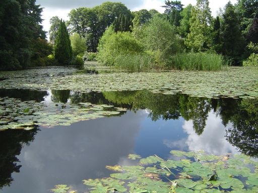 Carlow - Lac d'Altamont.