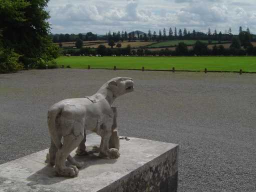 Laois - Un des lions d'Emo Court.