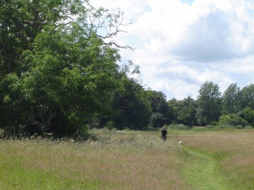 Fields of Castletown